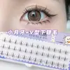 Desejo puro gatinho selvagem cílios inferiores em V lua crescente pequena cílios de quadrinhos haste transparente segmentados natural atacado