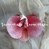 Cabeça de Flor de Orquídea Phalaenopsis Artificial, Textura de Película Impressa em 3D, Buquê Exquisito para Decoração de Casamento e Lembrança