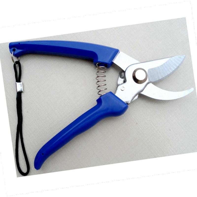 1171680353m42da7db2-8e1e-4276-