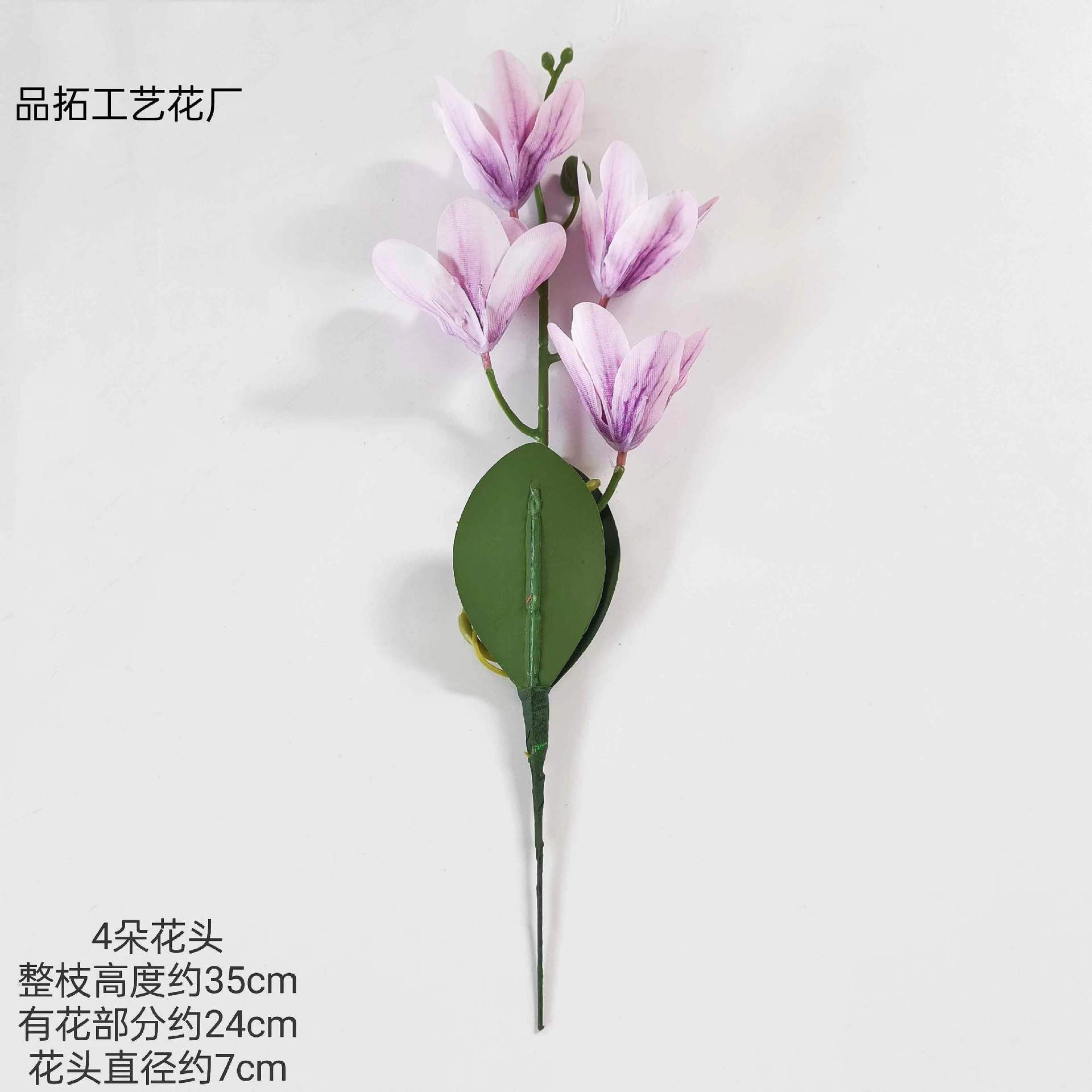 0059a0e5654ec99ab4b70da0c3a988