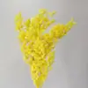 Venta al por mayor de Flores de Pino Inmortalizadas para Flores Secas Transfronterizas, Productos Florales DIY, Ramos, Decoración del Hogar, Arreglos Florales con Flores Reales, Yunnan