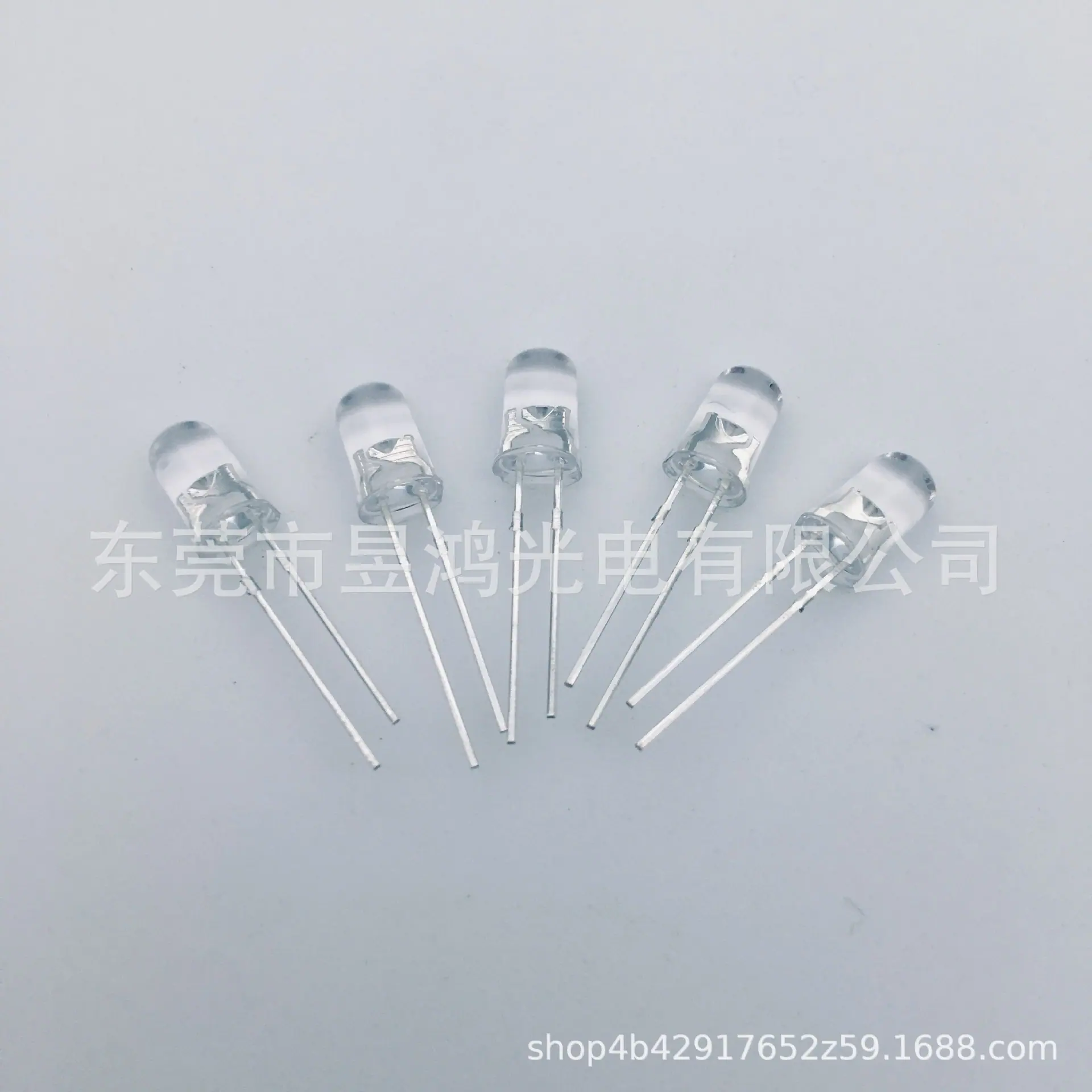 F5圆头短2