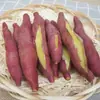 Batatas Frescas, Batatas de Suelo Arenoso, Batatas Castaña, Batatas de Corazón Rojo, Batatas Pegajosas, Batatas Fragantes, Patatas de Henan Cultivadas por Uno Mismo, Batatas de Corazón Amarillo