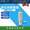 Y5WS-17-50 Para-raios Composto Cerâmico para Exterior Isolado 10KV Para-raios de Óxido de Zinco