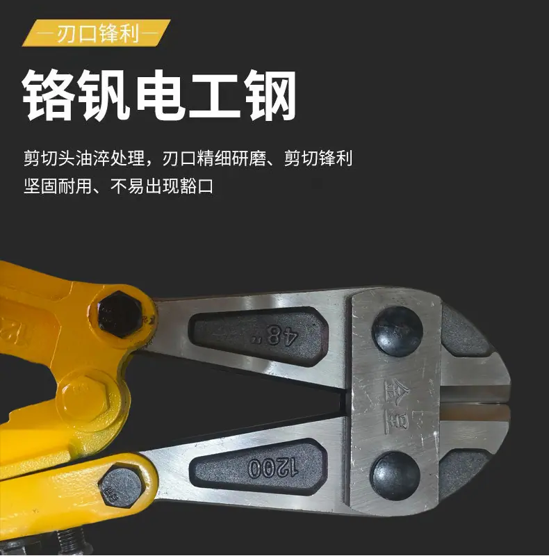 微信图片_20250328111633.jpg