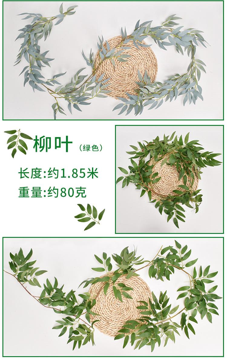 藤条1_03