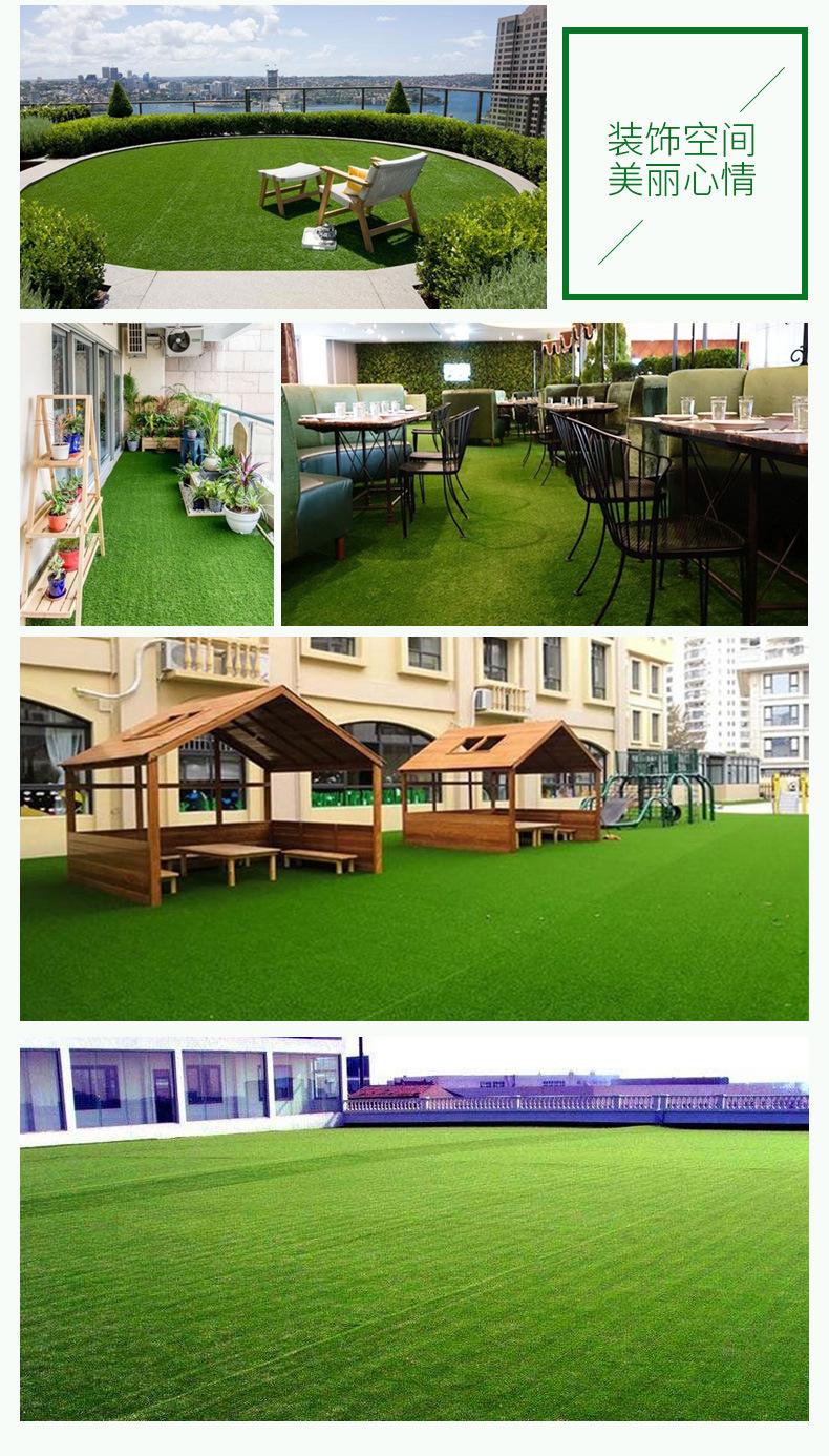 人工草坪_13