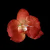 Cabeza de Flor de Orquídea Mariposa de Perla Artificial como Recuerdo, Accesorio para el Cabello, Pasador, Decoración de Boda, Adorno para Muebles, Flor Artificial Estilo Bosque