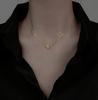 Colar de Semente de Acácia Versão Coreana para Mulheres, Colar Banhado a Prata para Mulheres, Colar Simples Ins para Mulheres, Corrente para Clavícula para Mulheres, Simples e Elegante