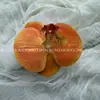 Cabeça de Flor de Orquídea Phalaenopsis Artificial, Textura de Película Impressa em 3D, Buquê Exquisito para Decoração de Casamento e Lembrança