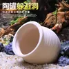 Cueva Escondite Terrario Refugio Casa para Peces y Camarones Mini Cueva de Puesta para Loros Acuario de Tang Nido Tanque de Cría de Peces Exóticos Acuario
