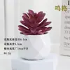 Plantas en Maceta de Suculentas de Diamante Simuladas al por Mayor, Decoración del Hogar, Plantas Suculentas para Oficina, Adornos de Plantas Verdes, En Stock, Entrega Inmediata