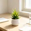 Produto popular transfronteiriço: mini bonsai de babosa artificial em um vaso de vinho, decoração de casa fresca e simples para a mesa da sala de estar, ornamento de planta suculenta falso