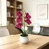 Barril de vino grande con 5 orquídeas phalaenopsis bonsái, arreglo floral artificial para fotografía de boda, decoración de planta verde artificial de escritorio