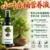 Fertilizante Solução Nutricional Especial para Folhas Vermelhas de Folha Pequena, Folhas Amarelas, Queda de Folhas, Podridão das Raízes, Galhos Secos, Doença do Mancha Negra, Fertilizante Líquido Sem Diluição