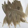 Venda Direta de Fábrica de Quase 100 Tipos de Acessórios Naturais de Penas Pequenas para Joias DIY, Acessórios de Cabeça, Broches, Chapéus, Materiais de Decoração para Artesanato
