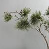 Simulação Ramo de Pinheiro Thuja Folha Decorativa Agulha de Pinheiro Cipreste Podocarpo Bonsai Simulação Planta Decoração de Casa