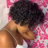 Peruca Quente Africana Peruca Europeia e Americana Cabelo Curto Cacheado Feminino Seda de Alta Temperatura Fibra Química Cabelo Curto Cacheado Peruca Cabeça Explosiva Touca