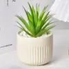 Maceta de Cerámica para Suculentas, Estilo Minimalista de Alta Gama con Rayas Verticales, Adecuada para Plantas Verdes y Cactus, Horneada a Alta Temperatura, con Agujeros de Drenaje