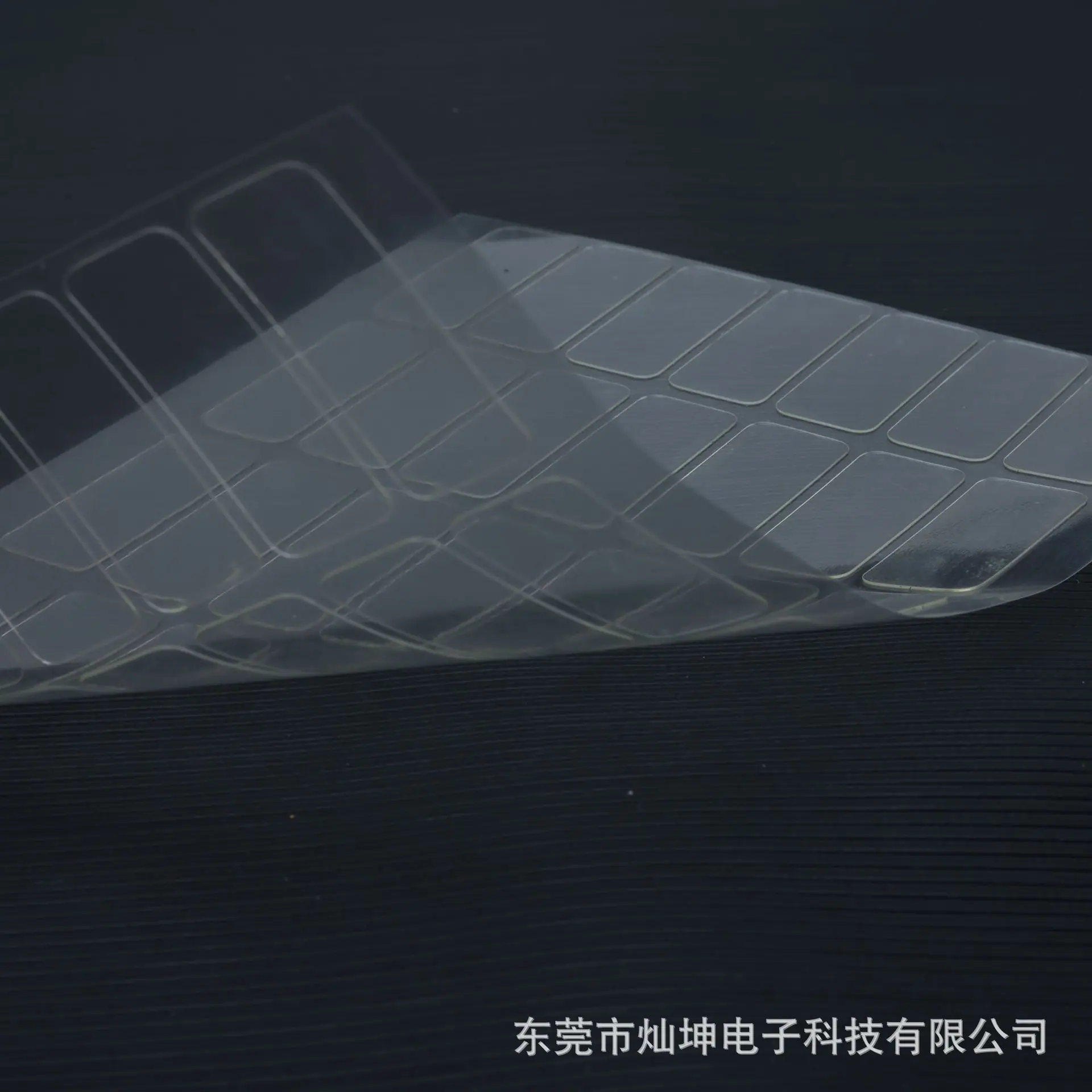 WANG0476-202503192.jpg