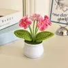 Planta en Maceta Tejida a Mano Nomeolvides Decoración para el Hogar Flor Artificial Tejida Hilo Crochetado Ramo Regalo Transfronterizo