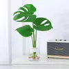 Planta Hidropônica Monstera Envasada Tronco Velho Interior Mesa Fácil de Cuidar Folhagem Purificadora de Ar Preguiçosa Planta Verde de Folha Grande