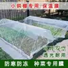 Invernadero Pequeño en Forma de Arco Película Plástica Agrícola Transparente para Cultivo de Verduras, Conservación del Calor, Protección contra el Frío, Lámina de Plástico, Papel Plástico, Película para Plántulas