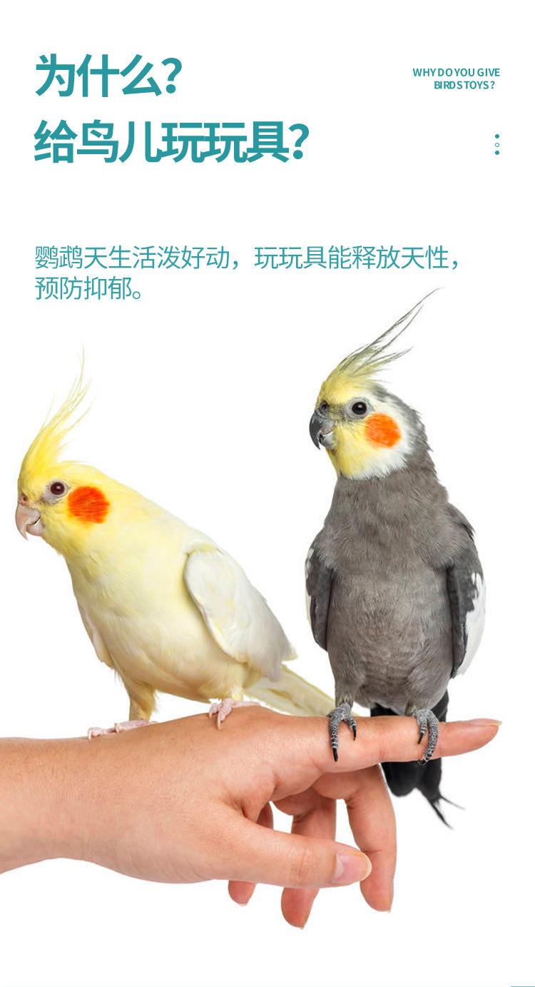 910_03.jpg?x-oss-process=image/format,png