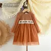 Nuevo Vestido de Otoño para Niñas con Incrustaciones de Encaje, Falda de Malla de Manga Larga, Vestido de Princesa de Moda Transfronterizo Más Vendido para Niñas