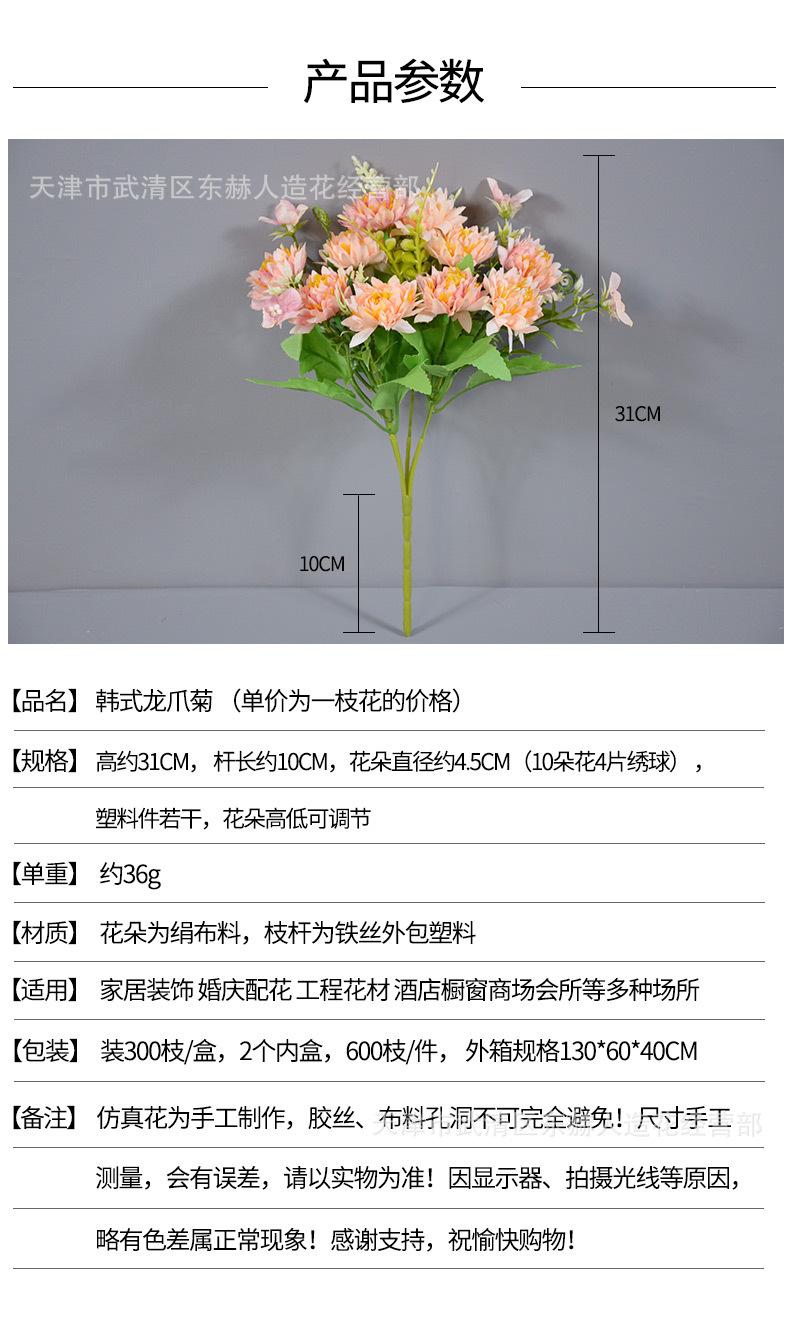 详情_01.jpg