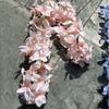 Simulación de flores de boda, venta al por mayor, 2 tenedores, jacinto, champán, delphinium, boda, camino, fondo, decoración, flor falsa