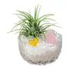 Cristal Natural Fortuna Micro-Paisaje Piña de Aire Grava Desmagnetizada Lingote Adornos de Decoración para Escritorio de Oficina Dormitorio