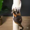 Juguete para Trepar Gatos Hamaca Nido de Gato Paraíso para Gatos Cápsula Espacial Marco de Trepar para Gatos Dinosaurio Madera Maciza Plataforma de Salto Decoración para Gatos Otro
