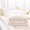 Edredom Quente Espesso de Fibra de Soja para Jardim de Infância, Edredom de Algodão de Inverno para Crianças, Edredom de Pessoa Única para Dormitório de Estudante para Primavera e Outono