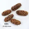 Decorações de Flores Secas, Bolas de Algodão, Bolotas, Pinhas, Galhos, Folhas, Vagens de Lótus, Materiais Criativos para Artesanato de Jardim de Infância, Materiais Lueduo