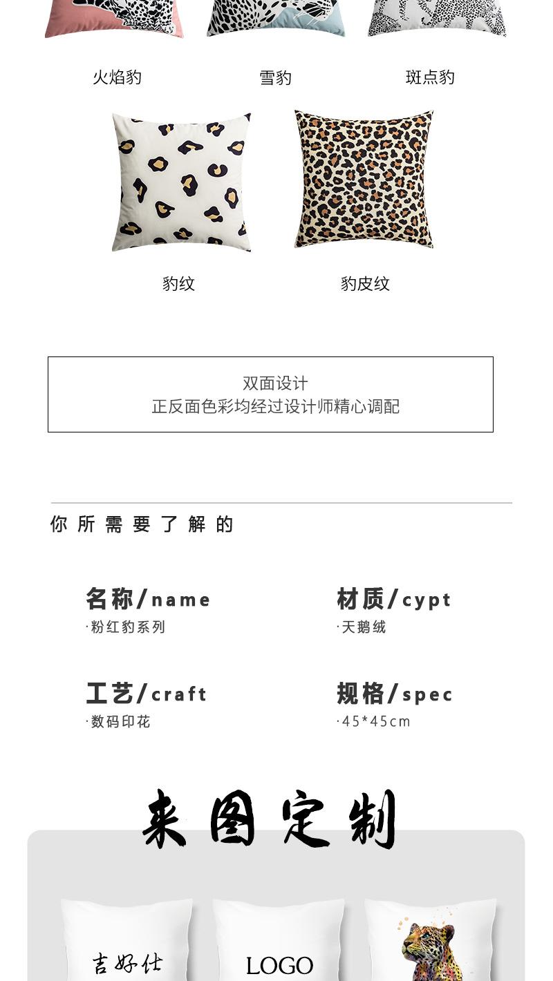 美洲豹_04.jpg