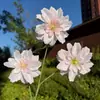 Begônia Artificial de 3 Cabeças Impressa em 3D Decoração de Salão de Casamento Arranjo Floral Piso Macio para Interior Guia de Caminho Flores Artificiais Atacado