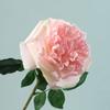 Ramo artificial de rosas Austin con tacto hidratante, estilo ins, accesorios para fotos, flores rizadas, rosa de té.