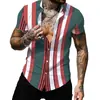 Estación independiente transfronteriza verano nuevo camisa con estampado digital 3D moda camisa de manga corta a rayas con solapa fabricante de origen