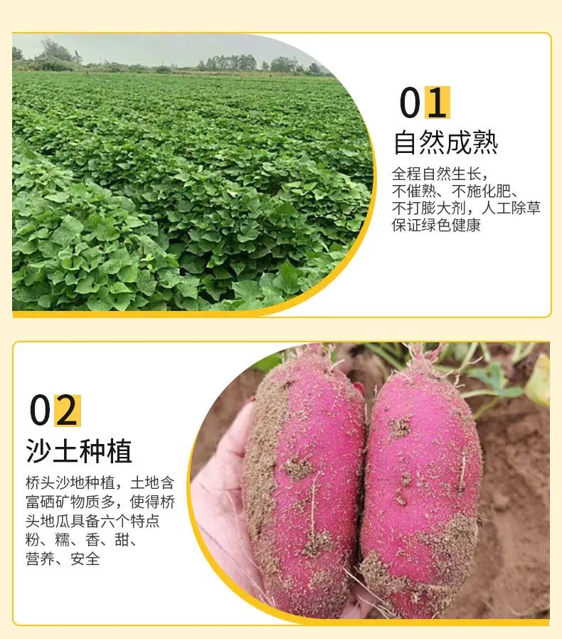 详情790_10.jpg