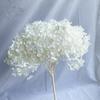 Flor Individual Hortensia Anna Souvenir Hortensia Flor Seca Hortensia Eterna Decoración para el Hogar Arreglo Floral Multicolor Venta al por Mayor