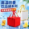 Bolsa Tote No Tejida para Hielo con Logo Personalizado, Transporte Refrigerado de Alimentos Frescos, Bolsa para Conservación de Mariscos para Llevar, Bolsa Aislante para Regalo