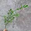 Folhas de samambaia artificiais e plantas verdes para decoração, acessórios para cena de casamento, plantas artificiais para decoração de interiores