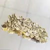 Presilha de Metal Personalizada Estilo Primavera Transfronteiriça, Presilha Horizontal Estilo Minimalista de Nicho, Grampo de Cabelo Borboleta Ginkgo para Penteado Updo na Parte de Trás da Cabeça