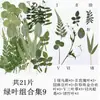 Planta Folha Verde Espécime Folhas Flores Secas Jardim de Infância Material Artesanal Adesivo Folhas Reais DIY Cola de Gota Moldura de Foto Embossado