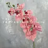 Decoración de Mesa Escandinava de Falenopsis de 9 Cabezas Impresa en 3D Película Floral de Boda Flor Artificial de Falenopsis Accesorios para Fotografía
