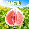 Pomelo Miel Rojo Tres de Guanxi, Pinghe, Fujian, envío directo de una pieza, juego de caja de regalo de 5 / 4.5 kg, fruta fresca de temporada agridulce para regalar