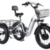 Triciclo Eléctrico Zorro Plateado 2025 Acero de Alto Carbono Aleación de Aluminio Llanta Ancha de 24 pulgadas Modelo para Hombres, Mujeres y Adultos Mayores Velocidad de 20 Km