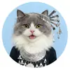 Pegatinas Creativas y Lindas para Vidrio con las Características Étnicas de los 56 Grupos Étnicos de China, Imanes Suaves Magnéticos para Refrigerador Estilo Gato, Regalos