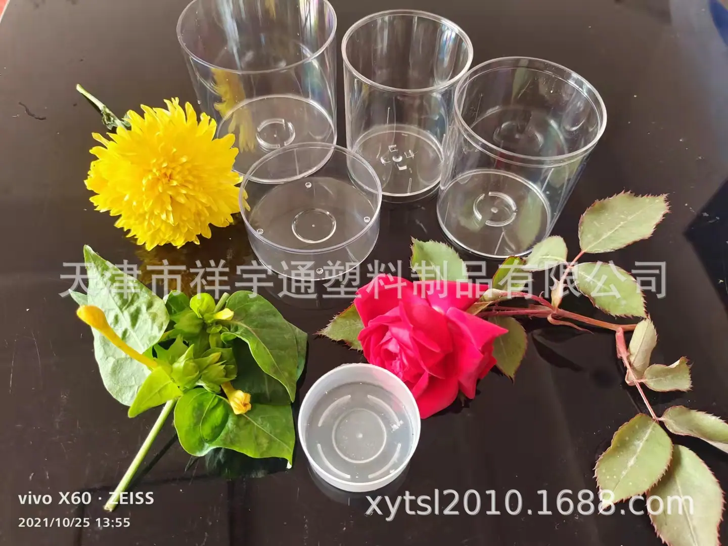 茶蜡壳合集